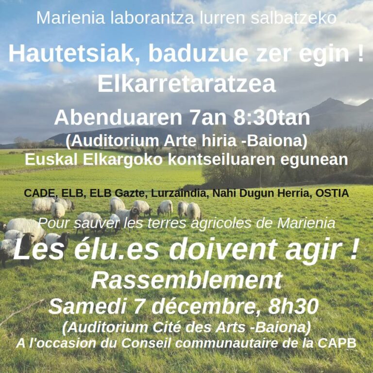 Rassemblement "Marienia ez hunki"